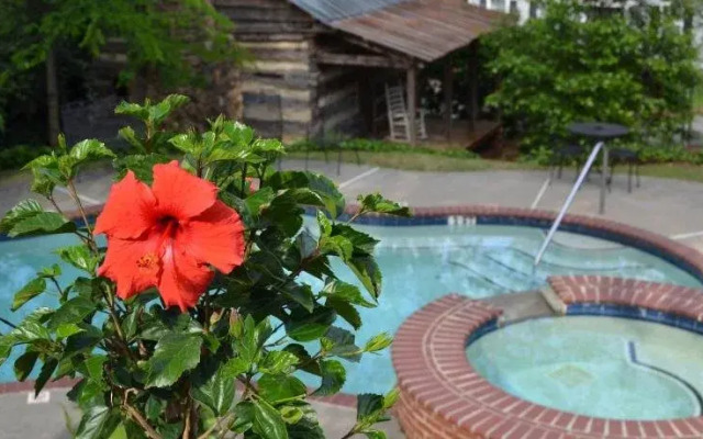 Stone Mountain Manor