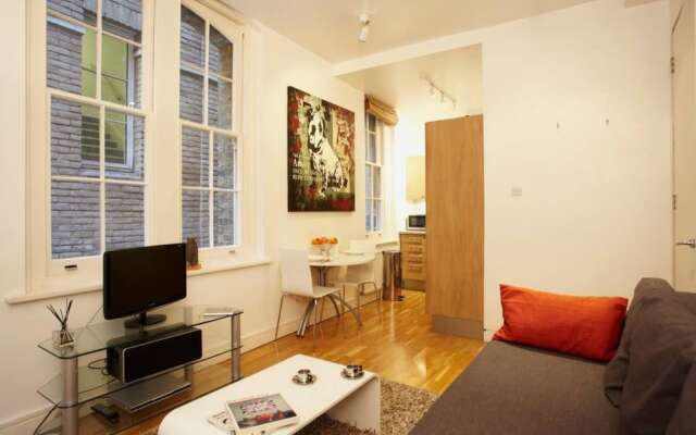 1 Bedroom Apartment Near St Paul's