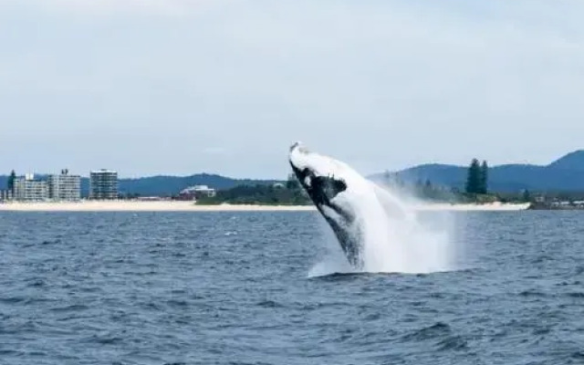 Beachpoint 403 - On The Beach!