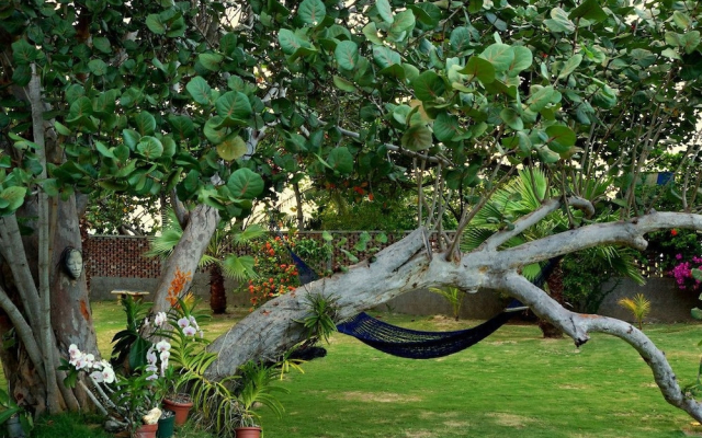 Seagrapes 5br by Jamaican Treasures