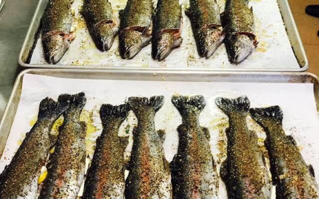 Good Place Farms B&B