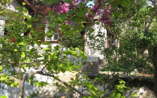Ayvalik Dostlar Pansiyon