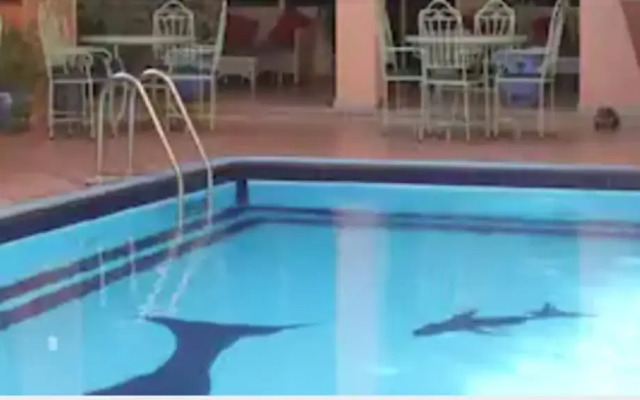 Hotel Alkabir