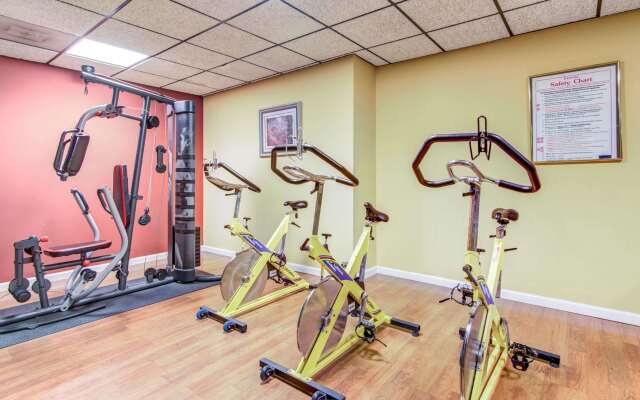 Comfort Inn & Suites Athens North