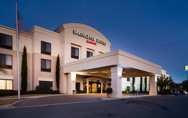 SpringHill Suites by Marriott Savannah I-95