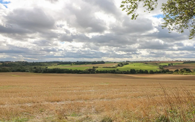 The Pinfold