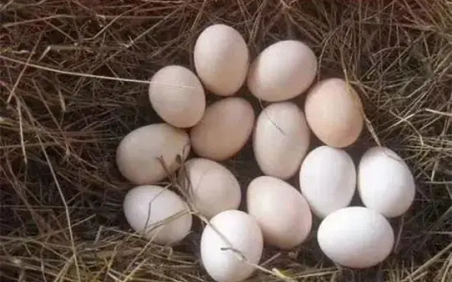 Tiantai Feitou Chalet