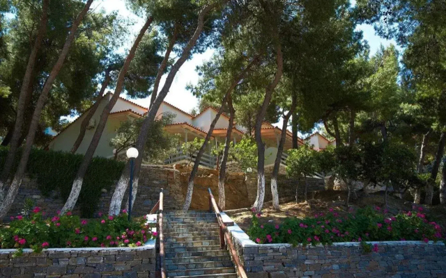 Venus Beach Hotel