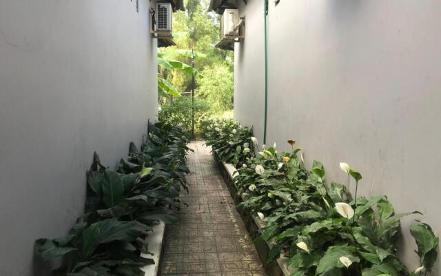 Mai Vuong Thuy Hotel