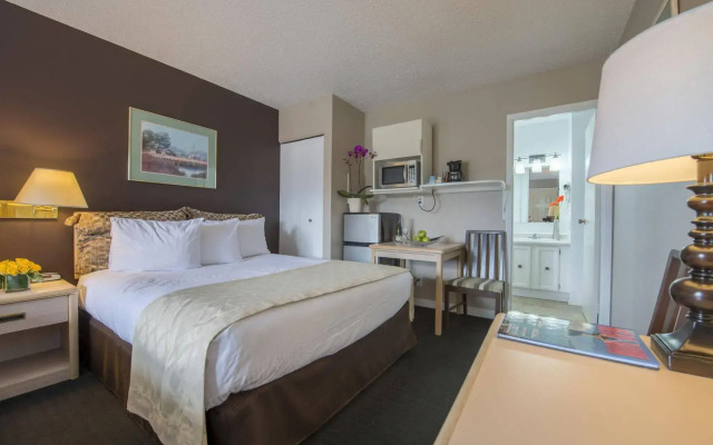 The Maple Leaf Motel Inn Towne