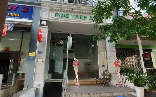 Pine Tree Apt