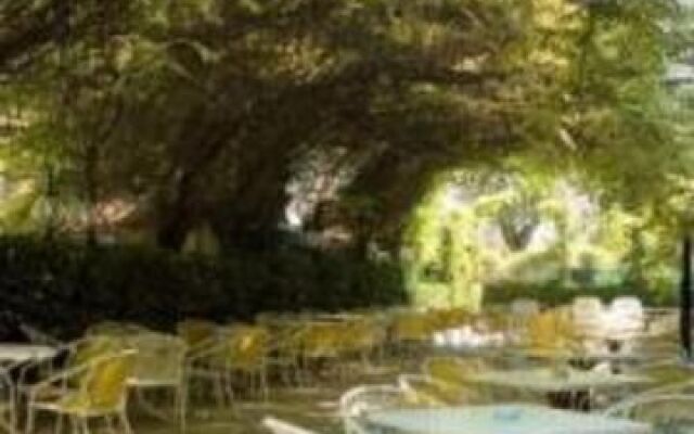 Hotel Carol