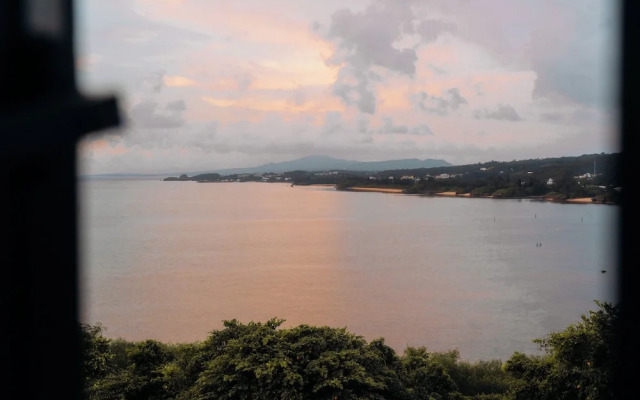 Blue Steak Wonder Senaha