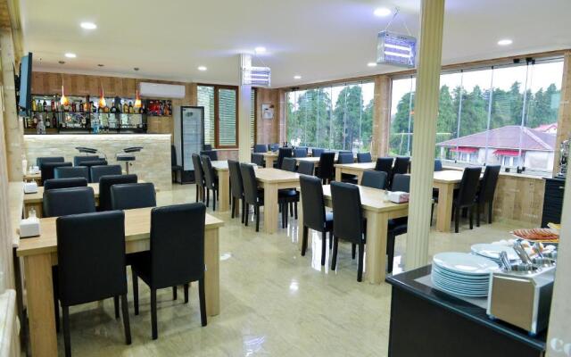 Hotel Lion