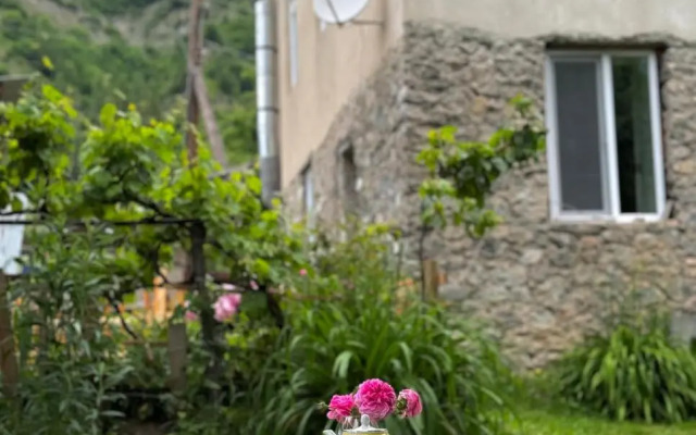 Guest House Ratison