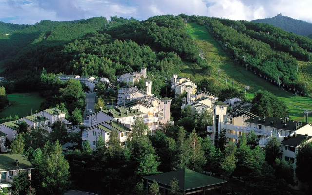 Yongpyong Resort Villa Condominium