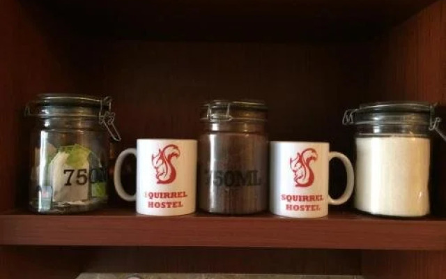 Squirrel Hostel Tbilisi