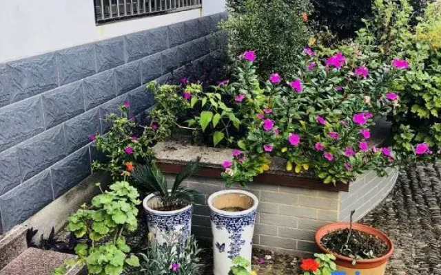 Zhaijia Courtyard