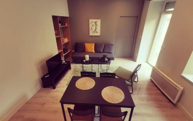 Vienne: appartement au cœur du centre historique