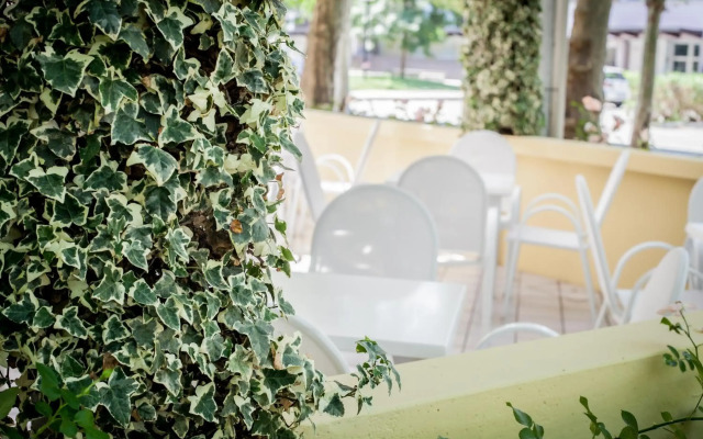 Kristalex Pet Family Hotel