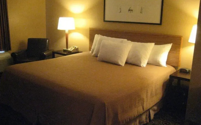 Pine View Resort