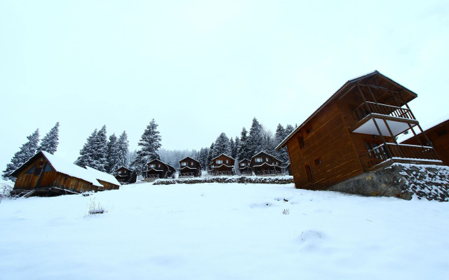 Hamsiköy Zitaş Bungalov & Restoran