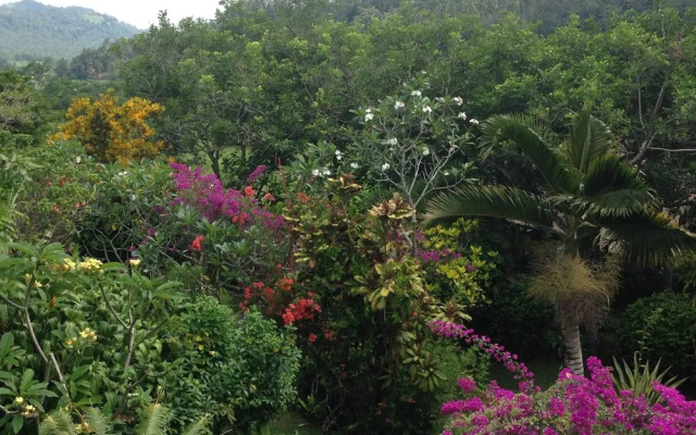 Nirarta Centre for Living Awareness