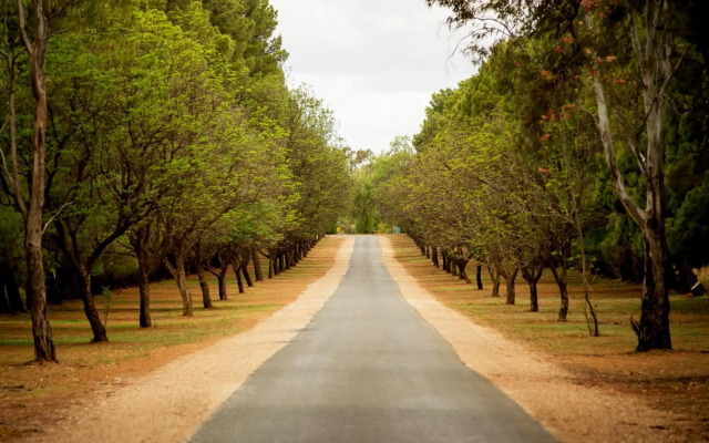 Renmark Resort