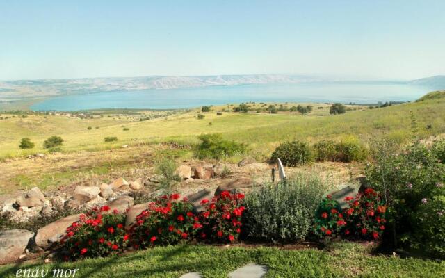 Sea Of Galilee Site