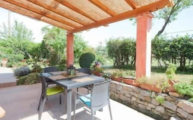 la casa fra gli ulivi