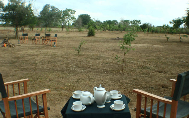 Big Game - Udawalawe by Eco Team