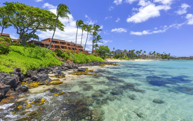 Kuleana 313 - 1Br Condo