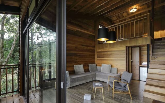 Nine Trees Forest House