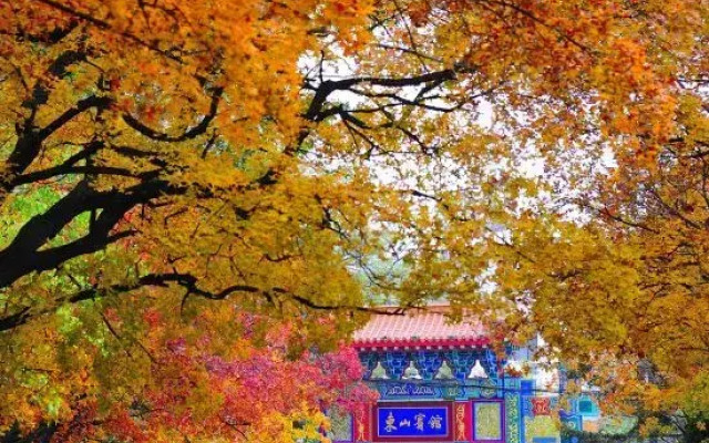 Dongshan Hotel