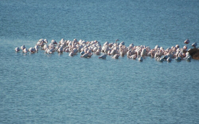 Belvilla by OYO Zante 2-7-12 Due