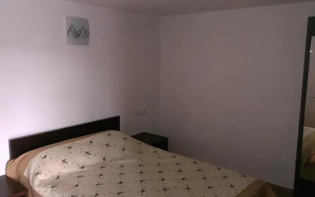Pensiunea Alex si Tedi