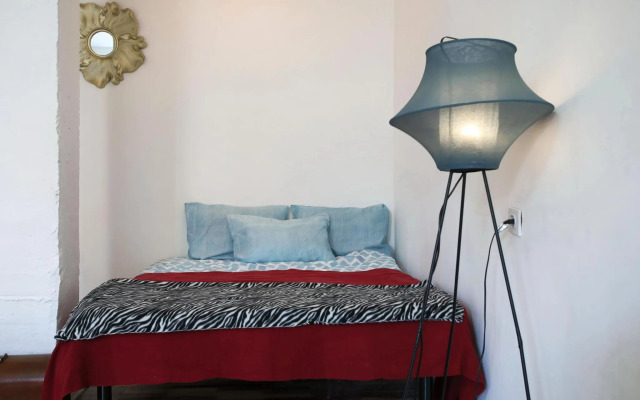 Питерские каникулы на улице Коломенская