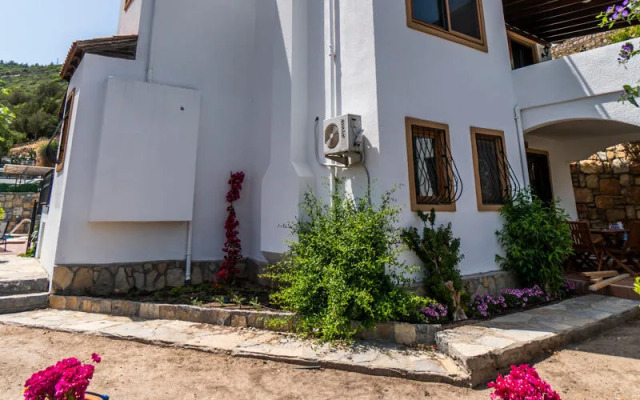Villa Mine