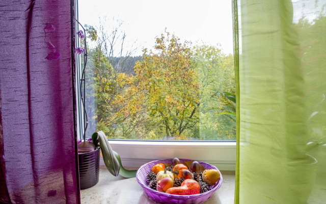 Holiday Home in Willingen Near Ski Area