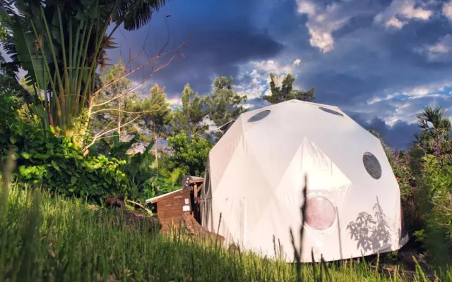 Bubble Dome Village- Glamping