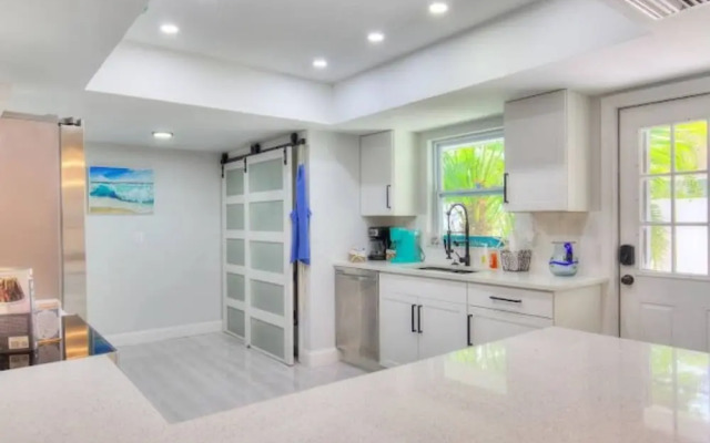 The Mermaid and the Sea Turtle