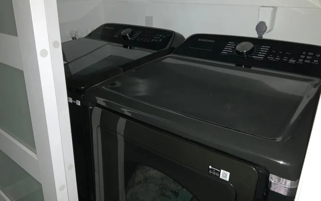 The Mermaid and the Sea Turtle