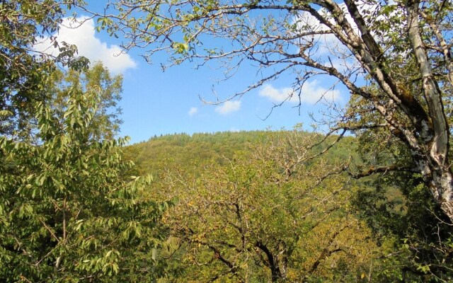 House With 4 Bedrooms in Castelnau-de-mandailles, With Wonderful Mount