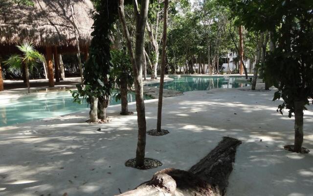 Tropical Paradise Apartment