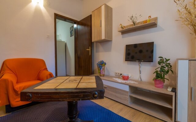 Apartment Vesnica