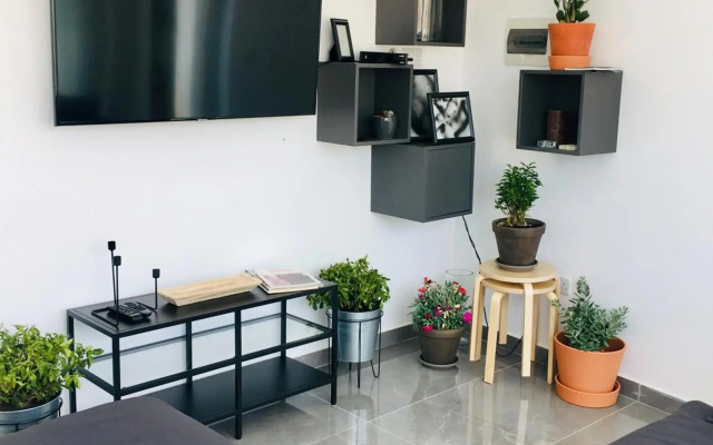 Deluxe Penthouse Charming Location Rooftop Views