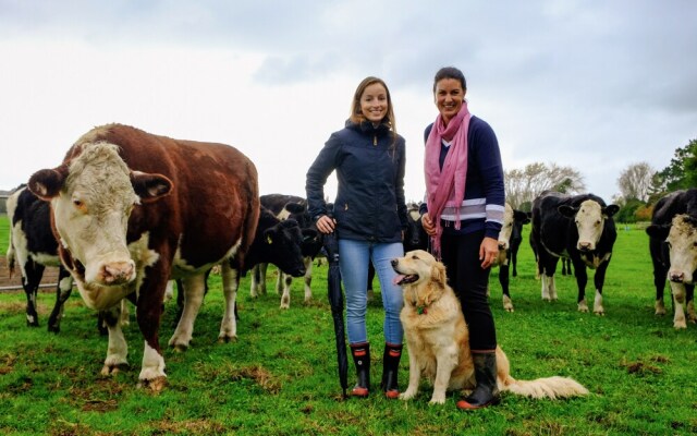 Lakeview Lodge Karapiro