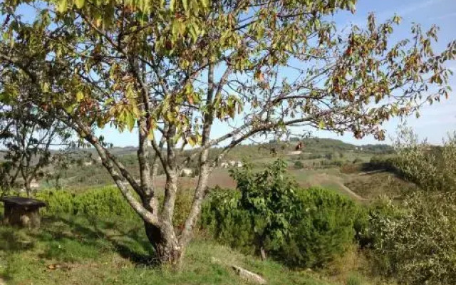 Villa Serena