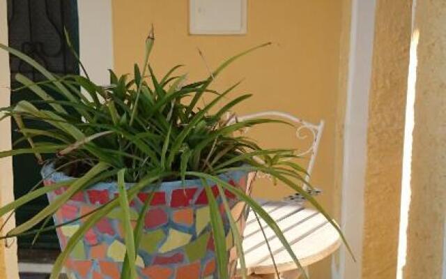 House Grabic