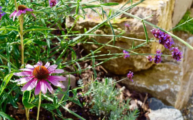 Ferienwohnung Am Geisberg